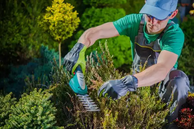 landscaping services Blue Jay